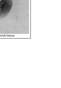 Text Box:  
Bessie Bostwick Graves
